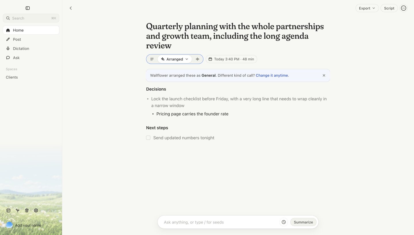 The Wallflower Mac app: meeting notes arranged into decisions and next steps